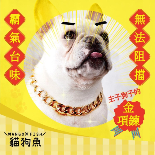 台味霸氣 ? 金鏈子 ? 金項鍊 ? 金鍊子 主子狗貓用 貴賓 惡霸 法鬥 巴哥 狗狗 中小型犬項圈 寵物項鍊 飾品配飾