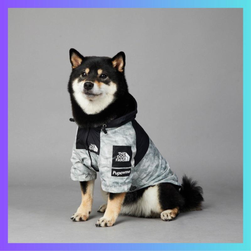 少量現狗狗衝鋒衣防風防雨THE DOG FANS狗狗雨衣小型犬中型犬大型犬寵物雨衣