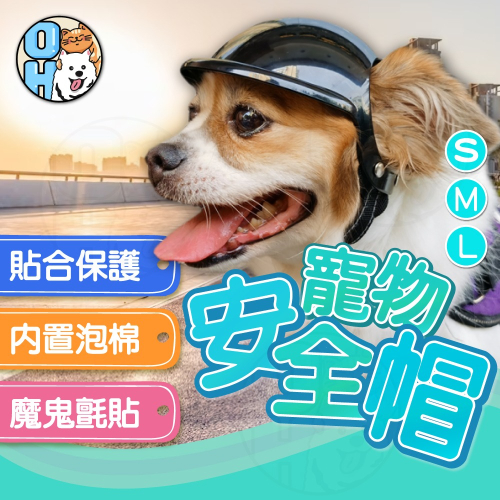 【秒發?升級露耳】寵物安全帽 狗狗貓咪頭盔帽 露耳式狗狗頭盔 狗狗機車安全帽 寵物帽子 狗狗帽子 寵物頭盔狗狗頭盔貓咪頭