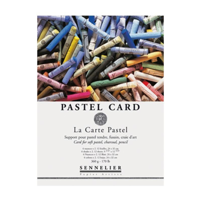 SENNELIER PASTEL CARD N136754 申利內爾 粉彩紙 360g 39,5x59,5cm
