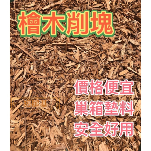 鸚鵡 巢箱專用 檜木屑 檜木削 檜木塊 爬蟲 巢箱墊料 墊料 飼養箱 鳥 蛇 龜 守宮 鼠 蜥蜴 鸚鵡巢箱 底料 陸龜