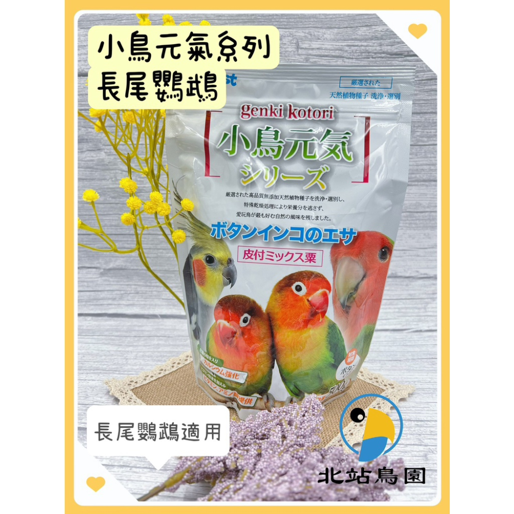 小鳥元氣系列 / 長尾鸚鵡 / 500公克 / 適用小鸚、牡丹、玄鳳、小太陽、中小型鸚鵡