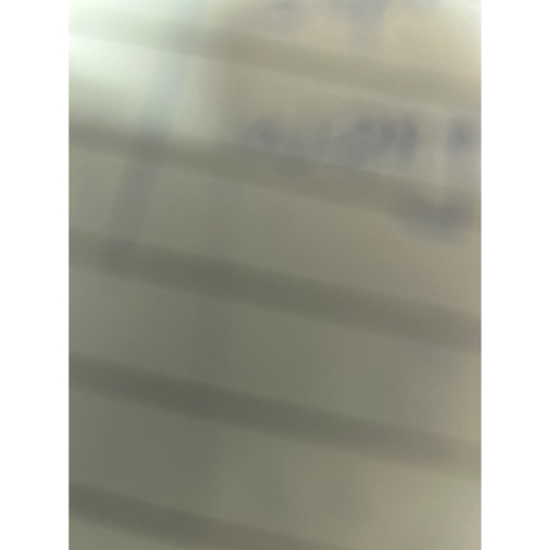 ！邴淑娟訂338