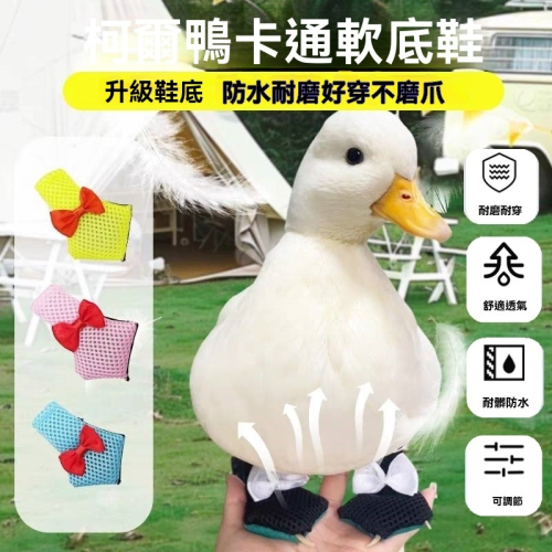 柯爾鴨鞋小鴨鞋子靴寵物服飾防滑寵物鞋網紅寵物鞋膠套保護腳掌寵物鴨鞋子柯爾鴨腳套寵物鴨鞋套 小鴨鞋套