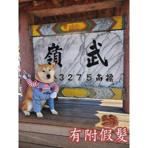 寵物恰吉裝 殺很大寵物變裝 搞怪裝扮 狗狗萬聖節變裝