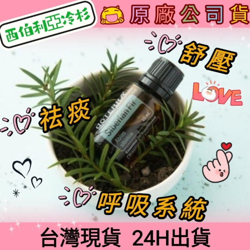 ?多特瑞?現貨 西伯利亞冷杉 精油 多特瑞 快速出貨 dōTERRA 祛痰 呼吸道 紓壓 原廠公司貨