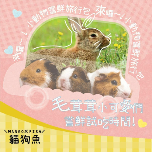 ｛貓狗魚｝ 小動物 嘗鮮包 ? 旅行包 試吃 兔子 天竺鼠 成兔 幼兔 熟齡兔 老兔 天竺鼠 兔 鼠