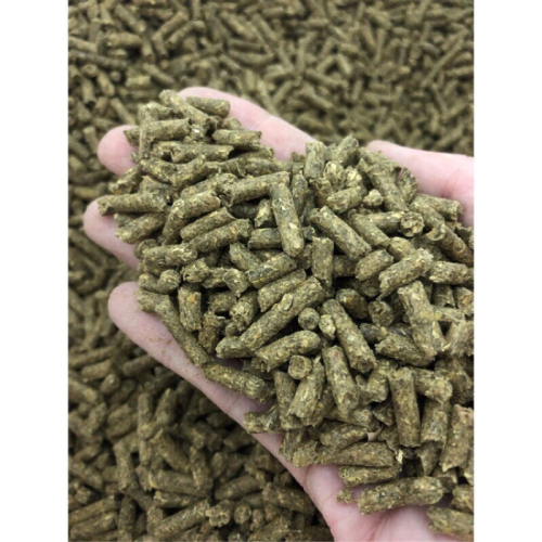 AR7（現貨）500克 兔飼料 獨家配方 兔子磨牙硬飼料 羊飼料 兔子飼料 牧草飼料 苜蓿粒 陸龜底材