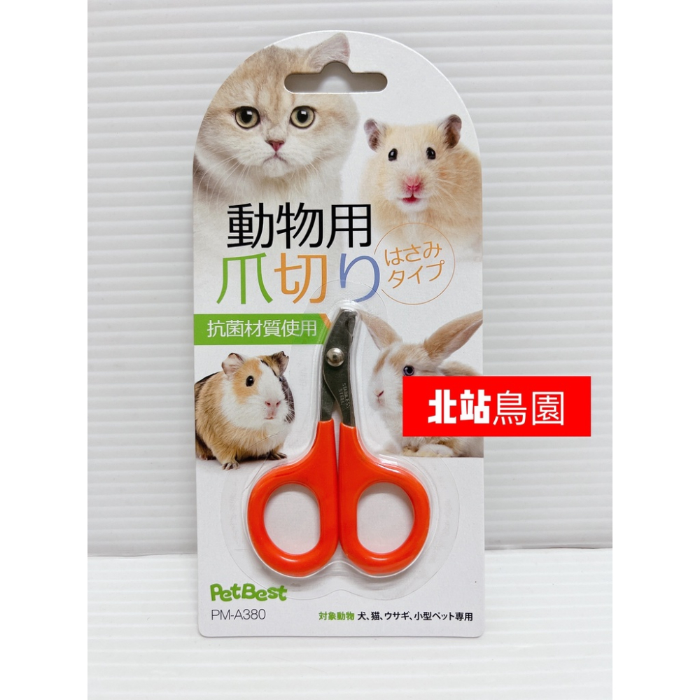 小動物用專業指甲剪 / 抗菌修指剪 / 寵物指甲剪 / 鳥用品 / 鸚鵡 / 小動物 / 修爪剪
