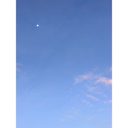 雙十一特定賣場