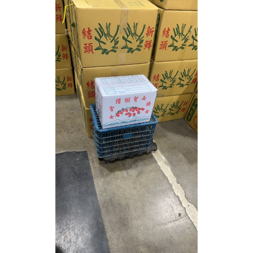 烏龜