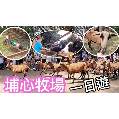 可雅【埔心牧場門票+60元DIY+30元牧場現金抵用券】(板橋，新莊，中壢可面交，購買前請加:@iop99000詢問