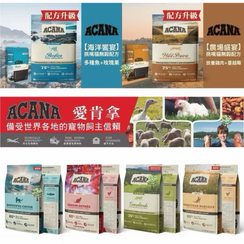 【ACANA】愛肯拿 幼母貓 第一盛宴 無穀系列 340g 貓飼料 貓主食 無穀飼料 低GI配方 幼母貓 寵物食品 貓