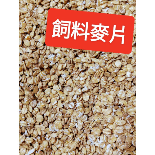 麥片飼料優質植物性蛋白新鮮現貨成雞成鴨飼料、鴿子、鵝、鳥、柯爾鴨、綠頭鴨、鸚鵡、倉鼠、兔子、豬、狗、魚飼料釣魚打底撒餌