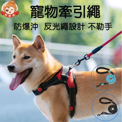 尼龍反光牽繩?真便宜現貨?遛狗繩 牽引繩 狗鏈子 牽引帶 大中型犬牽繩 寵物狗繩 寵物用品 狗繩