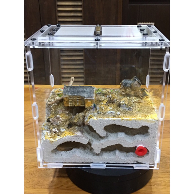 土石流蟻巢