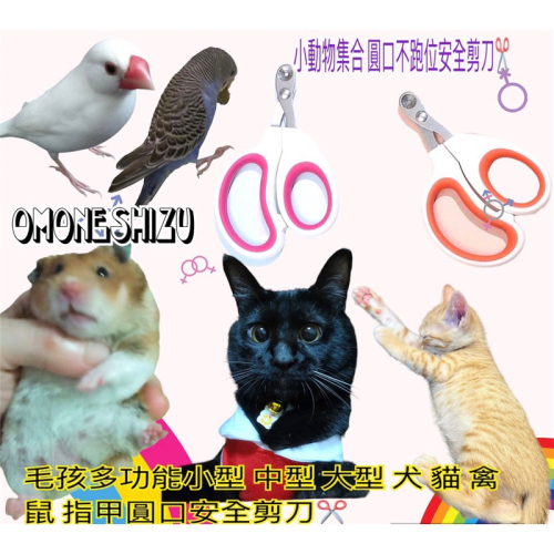 物用品 小鳥 小鼠 成年貓 幼年貓 寵物貓咪剪 寵物指甲剪 貓指甲剪 寵物指甲刀