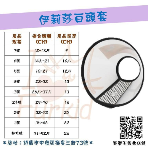 【現貨】伊莉莎白頸圈 頭套 頸圈 防護頭套 貓 狗 寵物頭套 防舔咬抓
