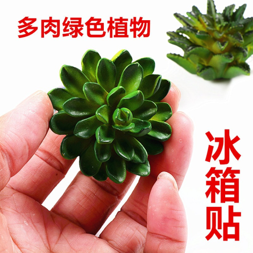 新款仿真多肉植物冰箱貼 磁鐵 立體造型留言條裝飾品