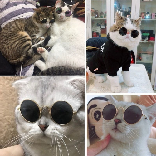 《預購》寵物太陽眼鏡貓咪拍照用品狗狗 裝酷個性中小型犬貓咪搞怪眼鏡