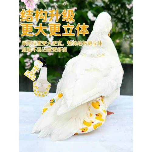 柯爾鴨尿布寵物屎兜 背有扣環可勾牽繩柯爾鴨尿不濕柯爾鴨衣服尿布網紅鴨尿不濕雞鵝尿片柯爾鴨屎兜可換洗尿布柯爾鴨寵物尿布墊