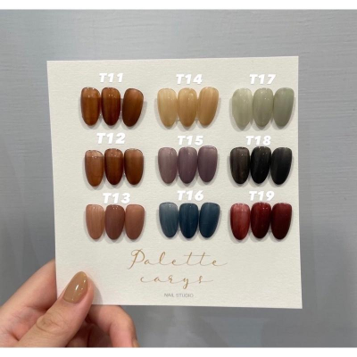 (現貨）Palette Carys color gel 水晶糖透光凝膠/色膠/暈染膠/泰國/ T11~T19/暈染透色