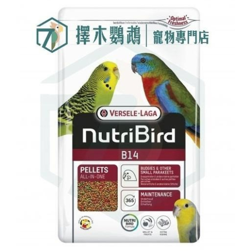 ?擇木鸚鵡｜凡賽爾機能滋養丸 B14(800g)｜中小型鸚鵡主食