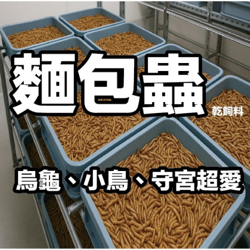 麵包蟲 會動的 飼料 守宮 蜥蜴 小鳥 烏龜 鳥飼料