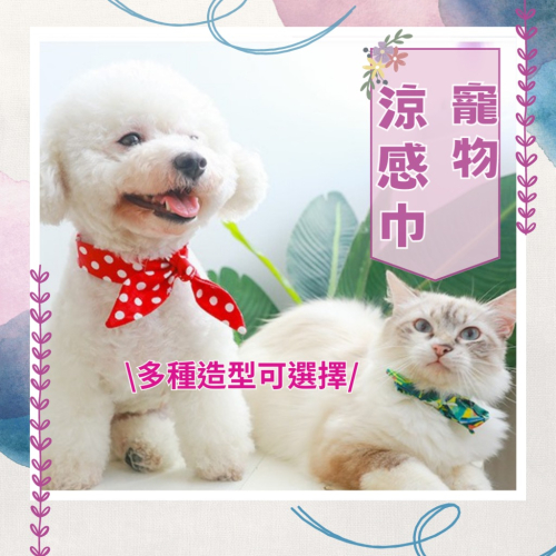 寵物涼感巾 降溫升級 親膚 降溫 消暑 寵物冰巾 圍脖 貓狗 狗貓造型領巾