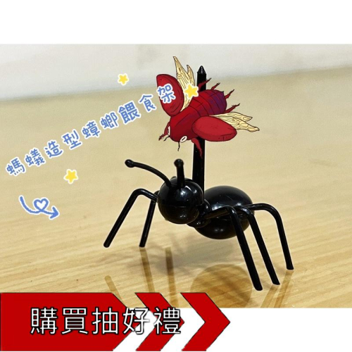 螞蟻造型蟑螂、蜂蛹等固體飼料餵食架/養螞蟻/螞蟻巢/螞蟻飼料