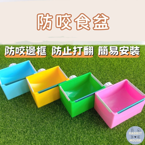 『現貨』兔子飼料碗 兔子飼料盒 兔子碗 兔子食盆 兔子飼料盆 飼料碗 天竺鼠飼料盆 天竺鼠碗 天竺鼠食盆 固定食盆