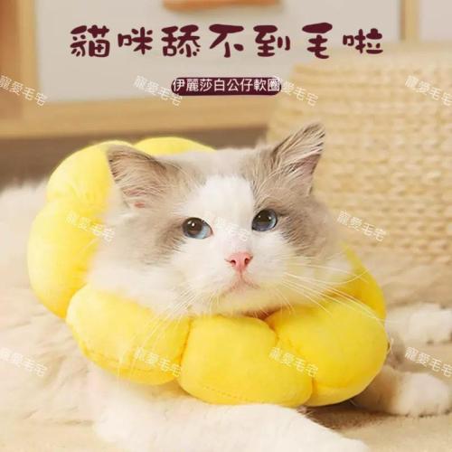 寵愛毛宅 伊莉莎白 防舔頭套 貓頭套 狗頭套 寵物防舔頭套 伊莉莎白圈 防舔圈 太陽花頭套 貓犬通用 手術絕育防護頭套