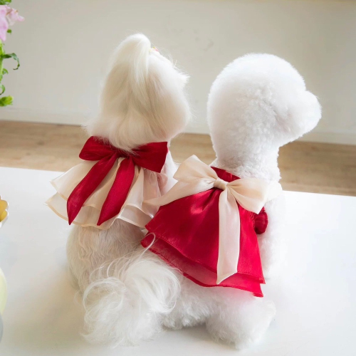 ♡【 J20 預購 】I＇m your gift 美美緞帶紗裙