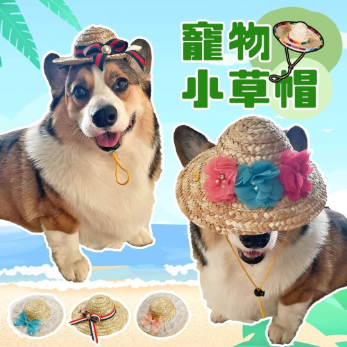 ☘️寵物草帽☘️ 狗狗帽子 貓咪帽子 寵物帽子 狗帽子 貓帽子 寵物配件 寵物服飾 寵物狗狗草帽遮陽帽飾品裝飾頭套夏天