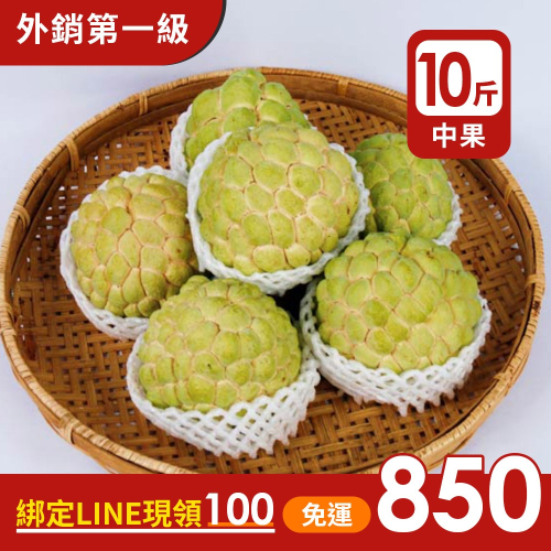 預購中【果樂釋迦專賣】大目釋迦中果/10斤一箱