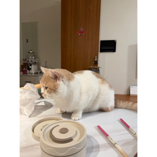 小果