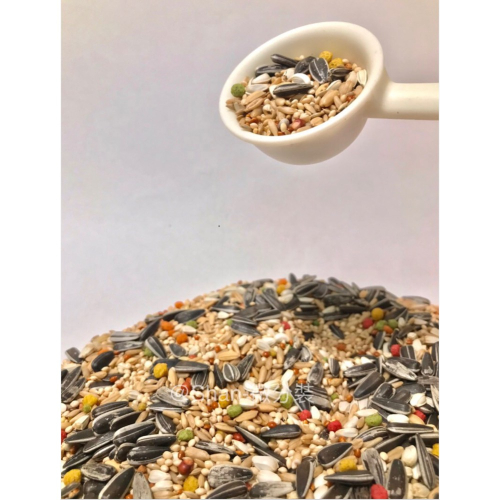 中小型鸚鵡飼料/600g分裝包，適合：月輪、和尚、金太陽、塞內、卡妹、牡丹、小鸚⋯⋯