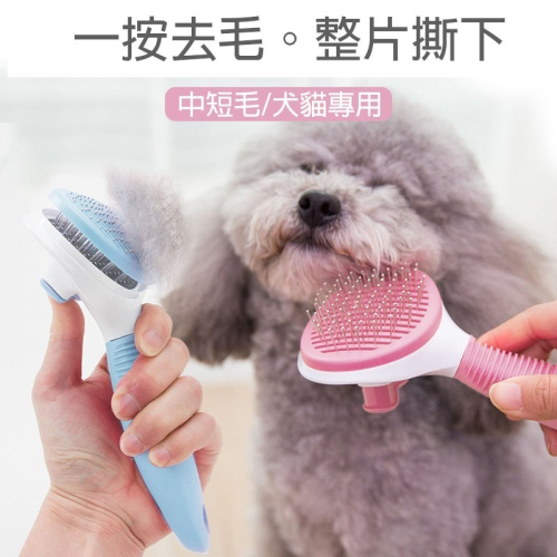 現貨 寵物梳毛鋼刷 退毛圓珠針梳 一鍵除毛 梳毛按摩兩用 除梳毛 除梳毛 脱毛梳 寵物 貓咪 狗狗 除毛神器