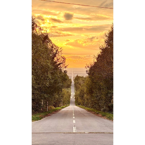 風景書籤一組