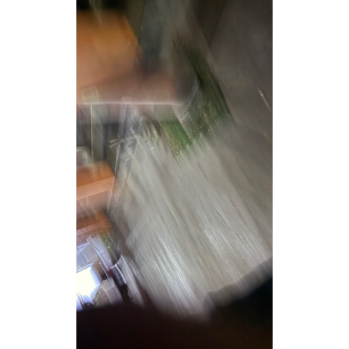睫毛