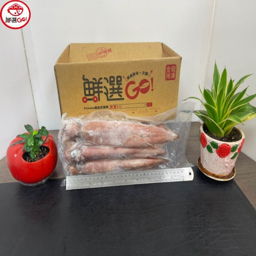 【鮮選GO !】活凍鮮透抽中卷(500g±10%/21-30cm/2-3尾保護冰)