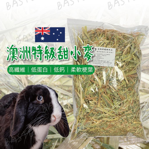 便便不夠大顆嗎？快來吃點增加纖維質~澳洲特級甜小麥 甜小麥 兔子牧草 香甜適口 寵物牧草 牧草 兔子 草食動物 小寵食物