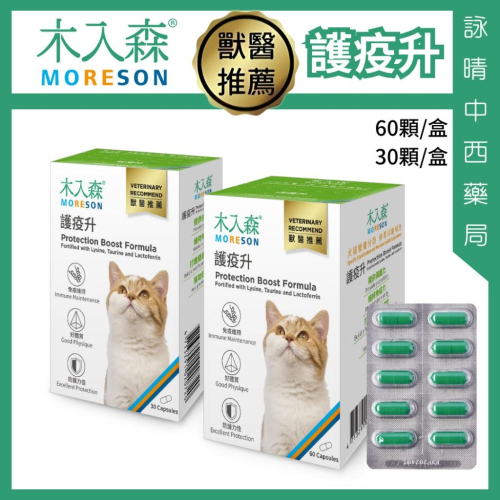 木入森 貓咪 護疫升 60顆/30顆【詠晴中西藥局】乳鐵蛋白 紫錐花萃取 離胺酸｜調節免疫力 貓咪保健食品 獸醫推薦