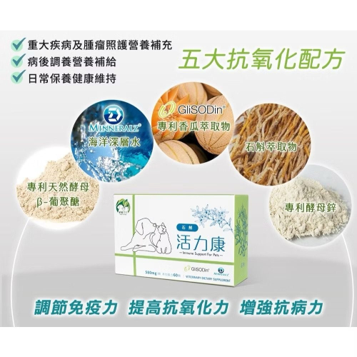 【MIGO寵物柑仔店】植寵艾尼 活力康 複方膠囊 含專利香瓜萃取物 專利酵母β-葡聚醣 酵母鋅 60粒 犬貓適用