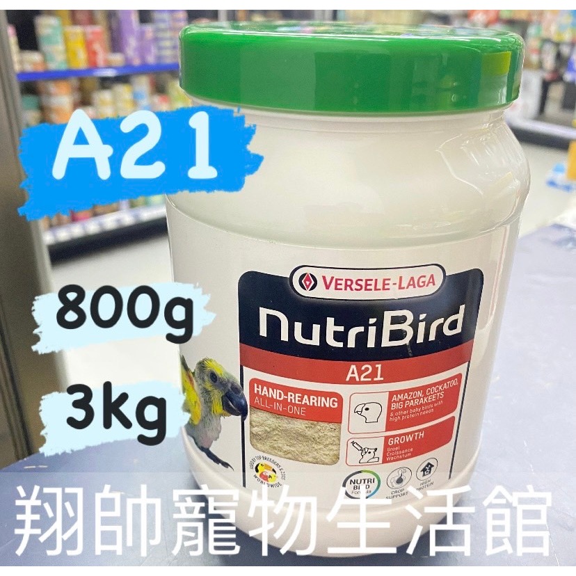 比利時凡賽爾｜歐樂斯｜Nutribird-A21｜幼鳥奶粉｜高脂奶粉｜中小型鸚鵡｜800G、3KG｜翔帥寵物生活館