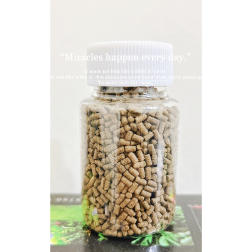 水族皇后 米蝦水晶蝦精緻飼料/50g