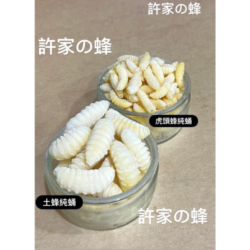 （生的）冷凍的土蜂蛹來了❗️黑肚蛹 純白蛹 成型蛹 蜜袋鼯 蜥蜴 守宮 寵物的最愛