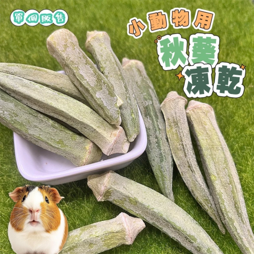 【現貨】蔬菜乾迷你包 秋葵凍乾 小動物零食 小寵零食 鼠兔零食 鼠兔蔬菜乾 倉鼠零食 鼠零食 小動物點心 兔零食
