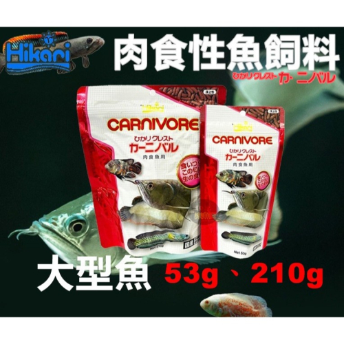 日本 Hikari 高夠力 大型肉食性魚飼料 53g 210g 肉食魚飼料 浮水性 銀帶 黑帶 雷龍 花豬
