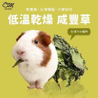 【嗡尼烘培】低溫乾燥 咸豐草 烘乾保健草 台灣小農 消炎 排毒 兔子 天竺鼠 零食 牧草 點心 龍貓 烏龜